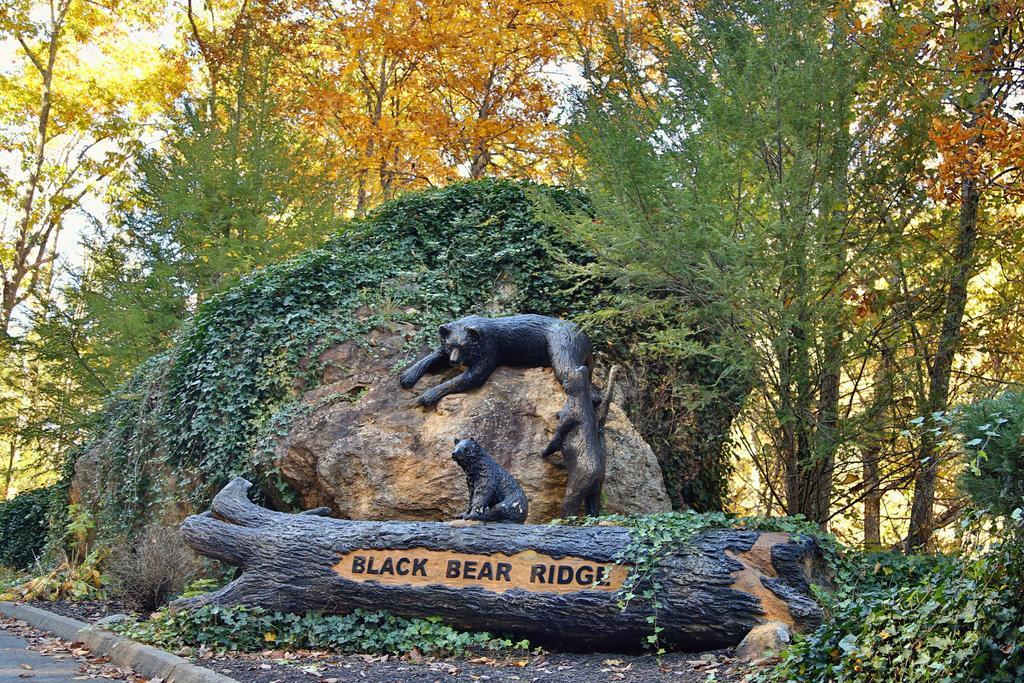 Rising Eagle Lodge - Eight Bedroom Pigeon Forge Bagian luar foto