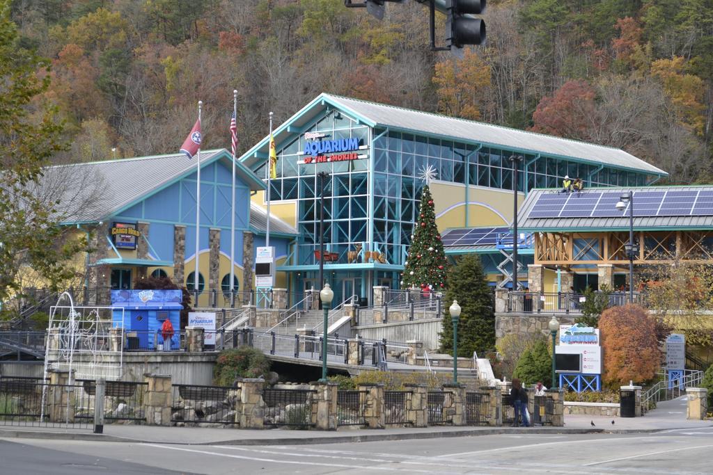 Rising Eagle Lodge - Eight Bedroom Pigeon Forge Bagian luar foto